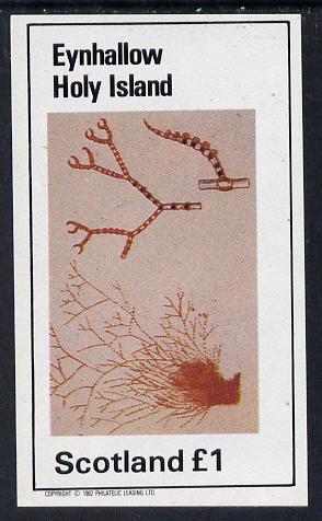 Eynhallow 1982 Sea Weed imperf souvenir sheet (Â£1 value) unmounted mint, stamps on marine-life
