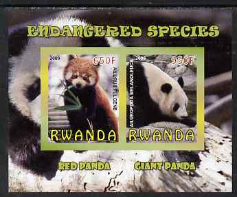 Rwanda 2009 Endangered Species - Pandas imperf sheetlet containing 2 values unmounted mint, stamps on animals, stamps on panda, stamps on bears