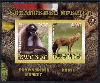 Rwanda 2009 Endangered Species - Spider Monkey & Dhole imperf sheetlet containing 2 values unmounted mint, stamps on animals, stamps on apes, stamps on dholes