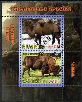 Rwanda 2009 Endangered Species - Wisent & Camel perf sheetlet containing 2 values fine cto used, stamps on animals, stamps on bovine, stamps on bison, stamps on camels