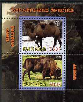 Rwanda 2009 Endangered Species - Wisent & Camel perf sheetlet containing 2 values unmounted mint, stamps on animals, stamps on bovine, stamps on bison, stamps on camels