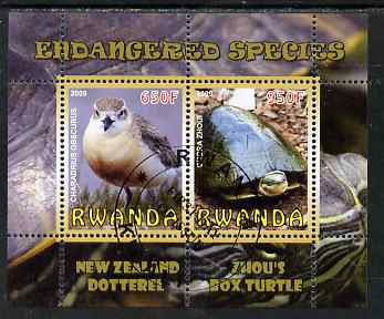 Rwanda 2009 Endangered Species - New Zealand Dotterel & Box Turtle perf sheetlet containing 2 values fine cto used, stamps on animals, stamps on birds, stamps on turtles