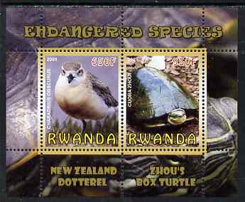 Rwanda 2009 Endangered Species - New Zealand Dotterel & Box Turtle perf sheetlet containing 2 values unmounted mint, stamps on animals, stamps on birds, stamps on turtles