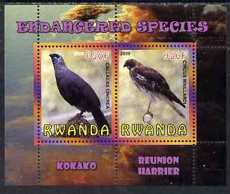 Rwanda 2009 Endangered Species - Kokako & Harrier perf sheetlet containing 2 values unmounted mint, stamps on birds, stamps on birds of prey, stamps on harriers, stamps on 