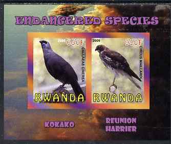 Rwanda 2009 Endangered Species - Kokako & Harrier imperf sheetlet containing 2 values unmounted mint, stamps on birds, stamps on birds of prey, stamps on harriers, stamps on 