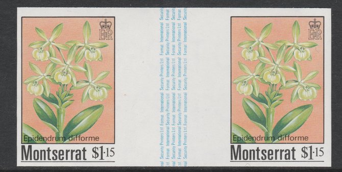 Montserrat 1985 Orchids $1.15 (Eppidendrum difforme) imperf gutter pair unmounted mint from uncut proof sheet, as SG 632. Note: The design withing the gutter varies across the sheet, therefore, the one you receive  may differ from that shown in the illustration., stamps on flowers, stamps on orchids