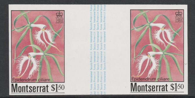 Montserrat 1985 Orchids $1.50 (Eppidendrum ciliare) imperf gutter pair unmounted mint from uncut proof sheet, as SG 633. Note: The design withing the gutter varies across the sheet, therefore, the one you receive  may differ from that shown in the illustration., stamps on , stamps on  stamps on flowers, stamps on  stamps on orchids