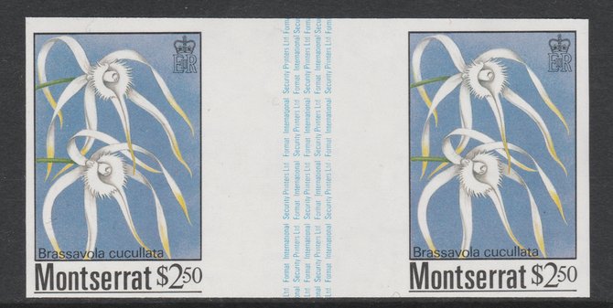 Montserrat 1985 Orchids $2.50 (Brassavola cucullata) imperf gutter pair unmounted mint from uncut proof sheet, as SG 634. Note: The design withing the gutter varies across the sheet, therefore, the one you receive  may differ from that shown in the illustration., stamps on flowers, stamps on orchids