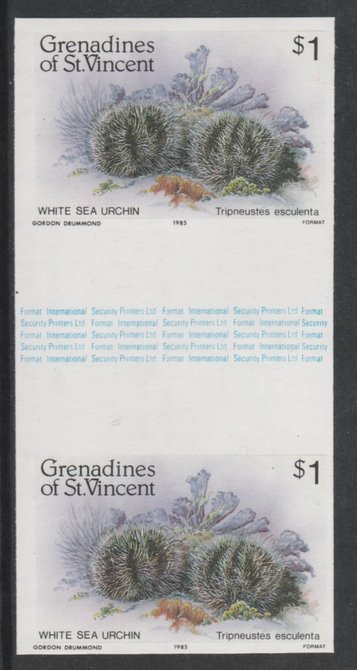 St Vincent - Grenadines 1985 Shell Fish $1 (Sea Urchin) imperf gutter pair (from uncut archive sheet) unmounted mint, SG 362var. Note: The design withing the gutter varies across the sheet, therefore, the one you receive  may differ from that shown in the illustration., stamps on marine-life