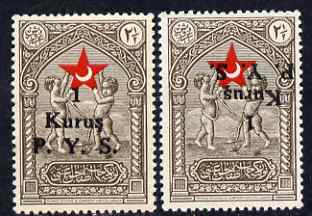 Turkey 1938 Red Crescent Postal Tax 1k on 2.5k unmounted mint single with opt inverted (unlisted by SG) plus single with superb off-set on back as normal., stamps on , stamps on  stamps on red cross, stamps on  stamps on red crescent
