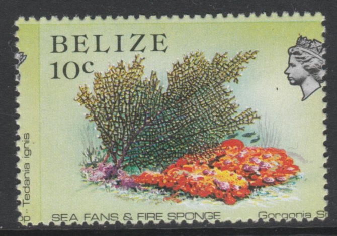 Belize 1984-88 Sea Fans & Fire Sponge 10c def with a fine 3.5mm shift of vert perfs (Queens head is split and scientific name appears at left) unmounted mint as SG 772, stamps on marine life, stamps on fish
