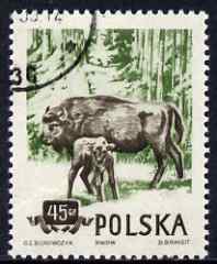 Poland 1954 European Bison 45g cto used from Protected Animals set, SG 900, stamps on animals, stamps on bovine, stamps on bison