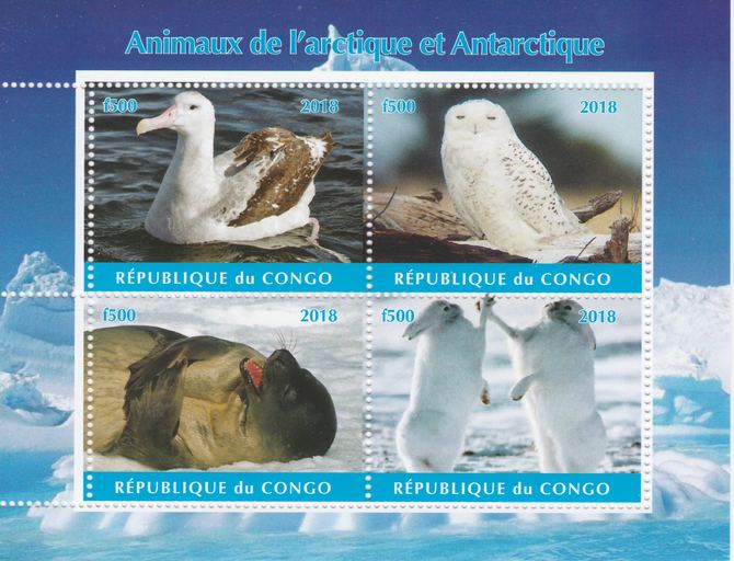 Congo 2018 Polar Animals & Birds #1 perf sheetlet containing 4 values unmounted mint. Note this item is privately produced and is offered purely on its thematic appeal., stamps on polar, stamps on animals, stamps on birds, stamps on owls