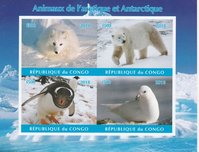 Congo 2018 Polar Animals & Birds #2 imperf sheetlet containing 4 values unmounted mint. Note this item is privately produced and is offered purely on its thematic appeal., stamps on polar, stamps on animals, stamps on birds, stamps on penguins