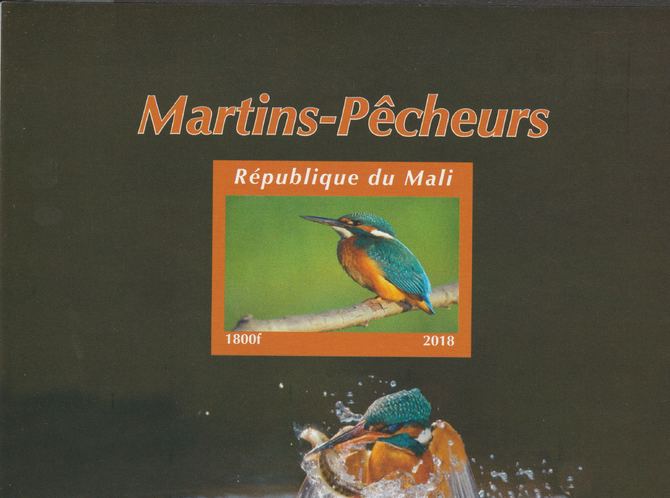 Mali 2018 Kingfishers #2 imperf souvenir sheet unmounted mint. Note this item is privately produced and is offered purely on its thematic appeal. , stamps on , stamps on  stamps on bubirds, stamps on  stamps on kingfishers