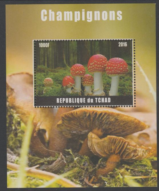 Chad 2016 Fungi perf s/sheet containing 1 value unmounted mint. Note this item is privately produced and is offered purely on its thematic appeal. . , stamps on fungi