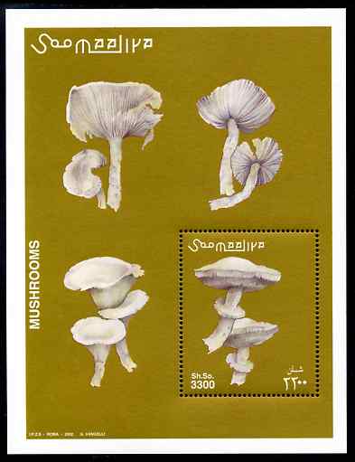 Somalia 2002 Fungi perf m/sheet unmounted mint. Note this item is privately produced and is offered purely on its thematic appeal Michel BL94, stamps on fungi