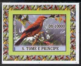 St Thomas & Prince Islands 2007 Birds #4 - Toucan imperf individual deluxe sheet unmounted mint. Note this item is privately produced and is offered purely on its thematic appeal, stamps on birds