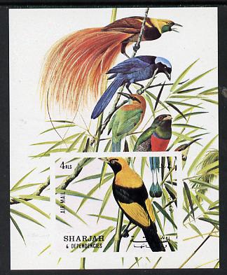 Sharjah 1972 Birds #1 imperf m/sheet unmounted mint, Mi BL 121, stamps on birds