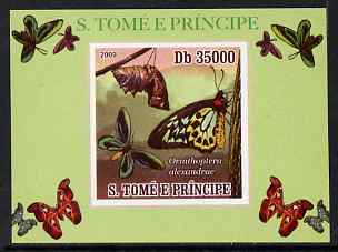 St Thomas & Prince Islands 2009 Butterflies #3 individual imperf deluxe sheet unmounted mint. Note this item is privately produced and is offered purely on its thematic appeal, stamps on butterflies