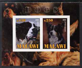 Malawi 2009 Dogs #2 imperf sheetlet containing 2 values (St Bernard & Border Collie) unmounted mint, stamps on dogs