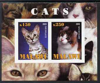 Malawi 2009 Cats #1 imperf sheetlet containing 2 values (Egyptian Mau & American Curl) unmounted mint, stamps on cats