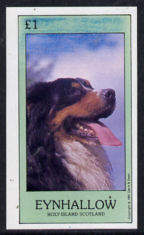 Eynhallow 1981 Dogs imperf souvenir sheet (Â£1 value) unmounted mint, stamps on animals    dogs      bernese