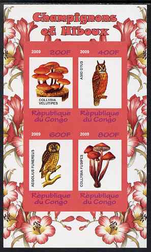 Congo 2009 Fungi & Owls #2 imperf sheetlet containing 4 values unmounted mint, stamps on , stamps on  stamps on fungi, stamps on  stamps on owls, stamps on  stamps on birds, stamps on  stamps on birds of prey, stamps on  stamps on 