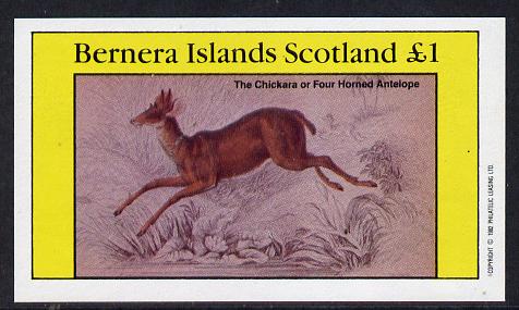 Bernera 1982 Animals (Four Horned Antelope) imperf souvenir sheet (Â£1 value) unmounted mint, stamps on animals, stamps on antelope