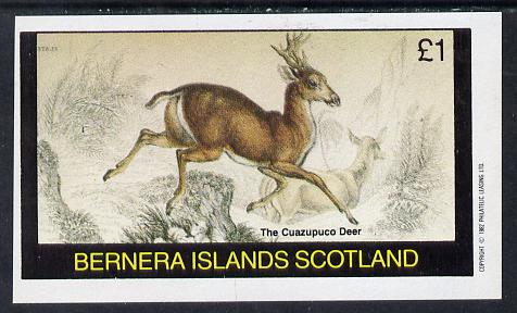 Bernera 1982 Animals (Cuazupuco Deer) imperf souvenir sheet (Â£1 value) unmounted mint, stamps on animals    deer