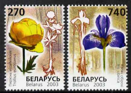 Belarus 2003 Endangered Flora perf set of 2 unmounted mint SG 546-7, stamps on flowers