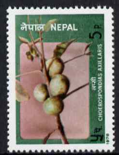 Nepal 1978 Lapsi Fruit 5p unmounted mint, SG 368, stamps on fruit, stamps on fruits, stamps on food