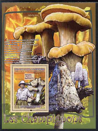 Guinea - Conakry 2009 Fungi & Albert Schweitzer #2 perf s/sheet unmounted mint, stamps on personalities, stamps on fungi, stamps on peace, stamps on nobel, stamps on music, stamps on religion, stamps on 