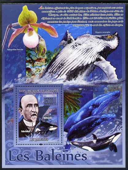 Guinea - Conakry 2009 Whales (with Carlo Collodi) perf s/sheet unmounted mint, stamps on personalities, stamps on literature, stamps on orchids, stamps on whales