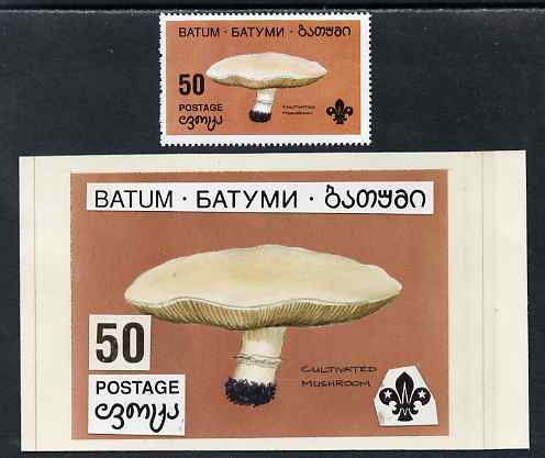 Batum 1994 Fungi - Cultivated Mushroom 50r with Scout emblem, original hand-painted atywork on card 90 mm x 65 mm with overlay plus issued stamp. Note this item is privat..., stamps on fungi, stamps on scouts, stamps on food