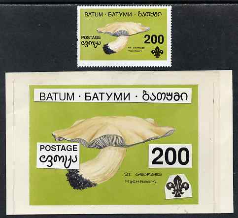 Batum 1994 Fungi - St Georges Mushroom 200r with Scout emblem, original hand-painted atywork on card 90 mm x 65 mm with overlay plus issued stamp. Note this item is priva..., stamps on fungi, stamps on scouts