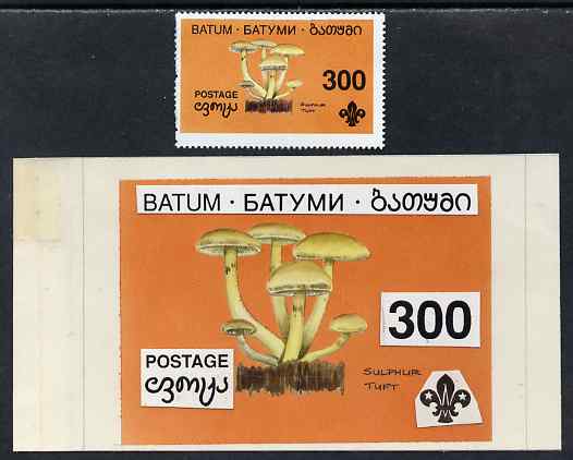 Batum 1994 Fungi - Sulphur Tuft 300r with Scout emblem, original hand-painted atywork on card 90 mm x 65 mm with overlay plus issued stamp. Note this item is privately pr..., stamps on fungi, stamps on scouts