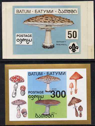 Batum 1994 Fungi - Shaggy Parasol with Scout emblem, original hand-painted atywork on card 90 mm x 65 mm with overlay denominated 50r but used for 300r s/sheet which is i..., stamps on fungi, stamps on scouts, stamps on umbrellas