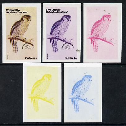 Eynhallow 1974 Owls (UPU Centenary) 5p (Hawk Owl) set of 5 imperf progressive colour proofs comprising 3 individual colours (red, blue & yellow) plus 3 and all 4-colour composites unmounted mint, stamps on birds    upu    owls   birds of prey, stamps on  upu , stamps on 