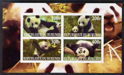 Burundi 2009 Pandas imperf sheetlet containing 4 values unmounted mint, stamps on , stamps on  stamps on animals, stamps on  stamps on pandas, stamps on  stamps on bears