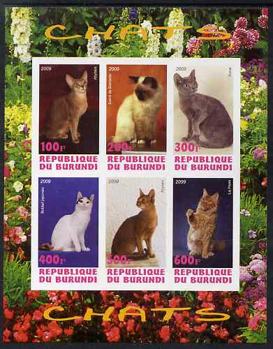 Burundi 2009 Domestic Cats #2 imperf sheetlet containing 6 values unmounted mint, stamps on cats
