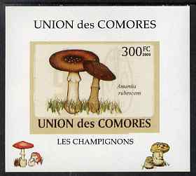 Comoro Islands 2009 Fungi #4 - 300 FC individual imperf deluxe sheet unmounted mint. Note this item is privately produced and is offered purely on its thematic appeal, it has no postal validity, stamps on fungi