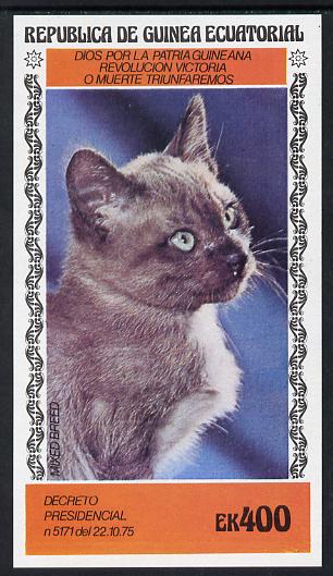 Equatorial Guinea 1978 Domestic Cats 400ek imperf m/sheet (Mixed Breed) unmounted mint, stamps on animals   cats