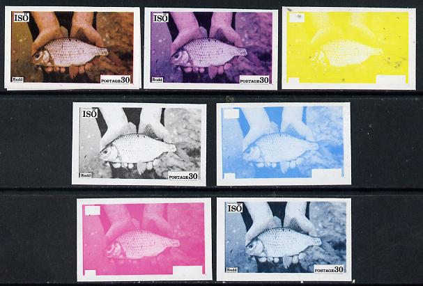 Iso - Sweden 1973 Fish 30 (Rudd) set of 7 imperf progressive colour proofs comprising the 4 individual colours plus 2, 3 and all 4-colour composites unmounted mint, stamps on fish     marine-life, stamps on  iso , stamps on 