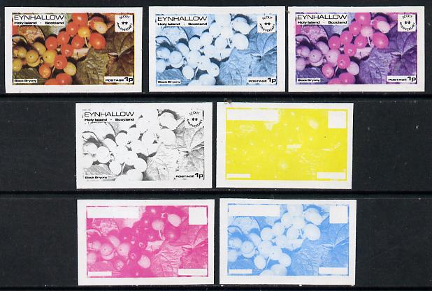 Eynhallow 1974 Fruit (Scout Anniversary) 1p (Black Bryony) set of 7 imperf progressive colour proofs comprising the 4 individual colours plus 2, 3 and all 4-colour compos..., stamps on fruit      scouts