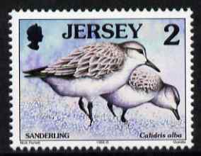 Jersey 1997-99 Seabirds & Waders 2p Sanderling unmounted mint SG 775, stamps on birds
