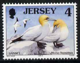 Jersey 1997-99 Seabirds & Waders 4p Northern Gannet unmounted mint SG 776, stamps on birds