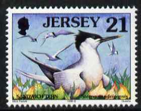 Jersey 1997-99 Seabirds & Waders 21p Sandwich Tern unmounted mint SG 781, stamps on birds
