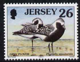 Jersey 1997-99 Seabirds & Waders 26p Grey Plover unmounted mint SG 786, stamps on birds