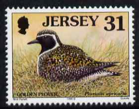 Jersey 1997-99 Seabirds & Waders 31p Golden Plover unmounted mint SG 791, stamps on birds